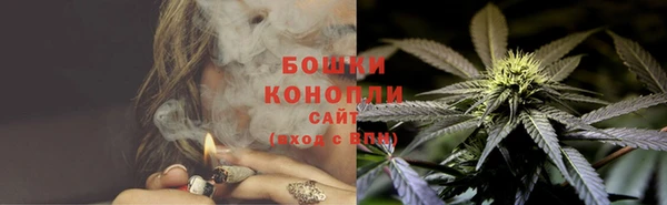 индика Лихославль