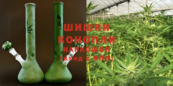 индика Лихославль