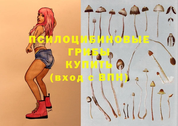 индика Лихославль