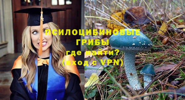 индика Лихославль
