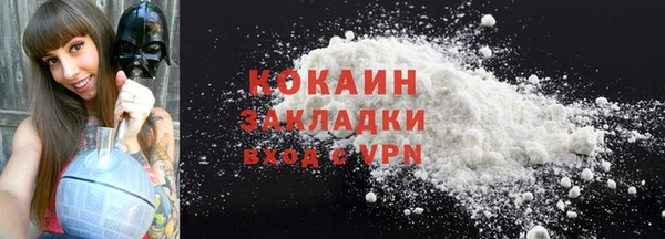 индика Лихославль