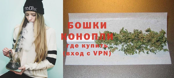 индика Лихославль