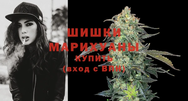 индика Лихославль