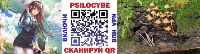 купить наркоту  Малая Вишера  Галлюциногенные грибы прущие грибы 