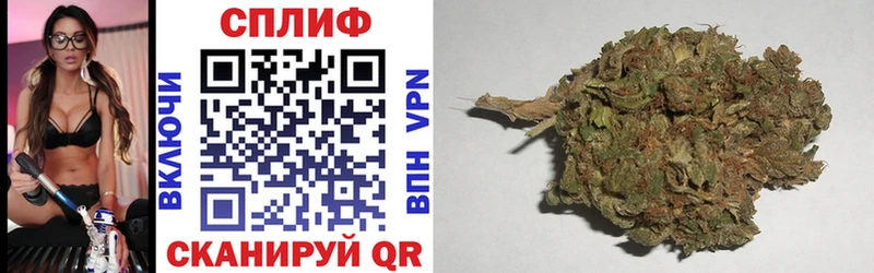 Бошки Шишки семена  Малая Вишера 